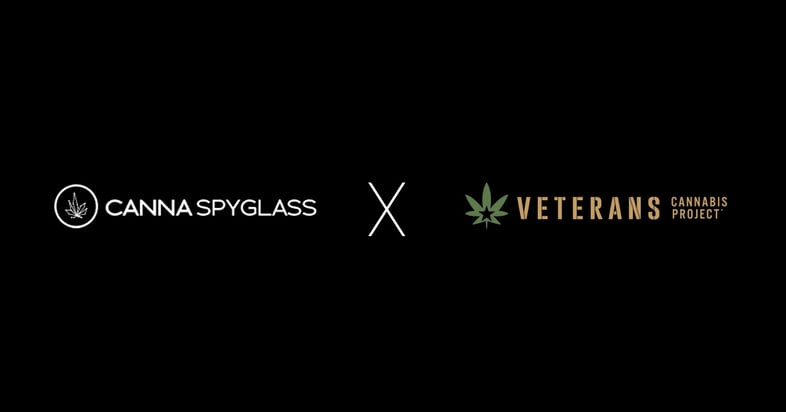 Two logos for companies including: CannaSpyglass and Veterans Cannabis Project. CannaSpyglass is a leading provider for cannabis data analytics within the cannabis industry.