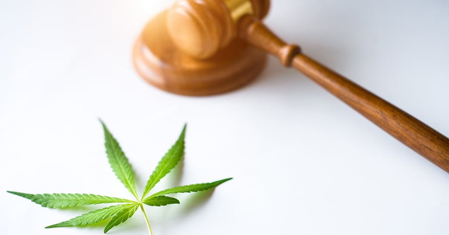 A gavel resting next to a cannabis leaf. This image is in reference to a blog posted by CannaSpyglass titled: How Rescheduling Cannabis will Impact the Cannabis Industry. CannaSpyglass is the leading provider for cannabis market data.