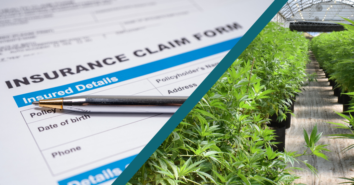 Insurance claim form with a pen on top of the paperwork. There is a split on the image with another photo of a cannabis crop. CannaSpyglass offers cannabis data subscription services that provide dependable, on-demand, and exclusive cannabis industry analytics. 